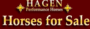 Hagen Sale Horses